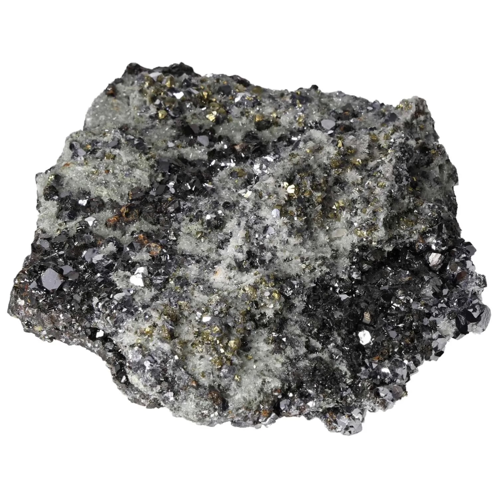 orbitvu|type:image2d