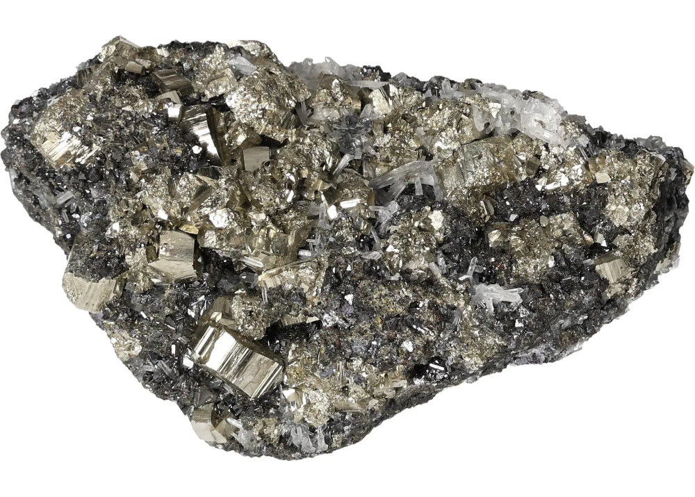 orbitvu|type:image2d