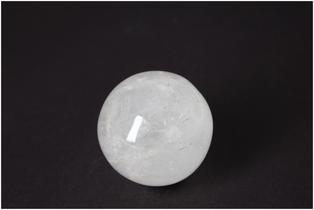 orbitvu|type:image2d