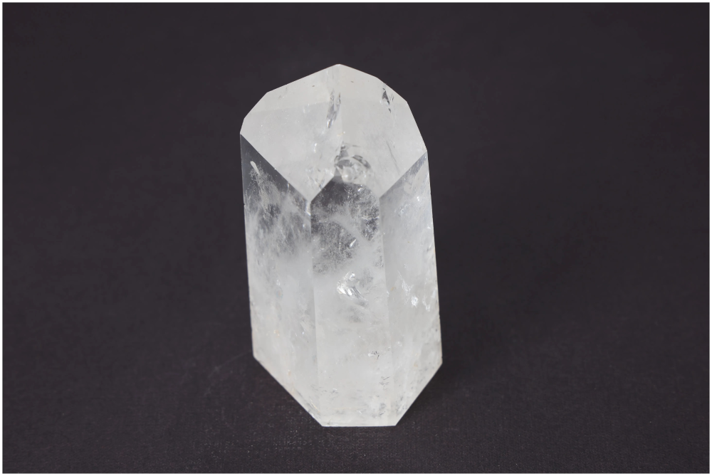 orbitvu|type:image2d