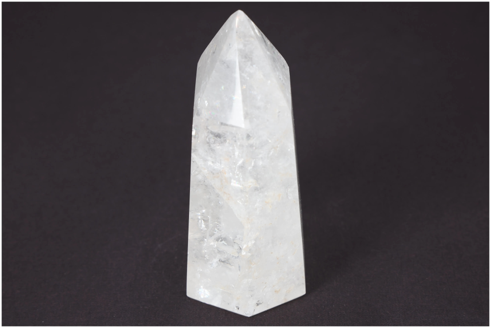 orbitvu|type:image2d