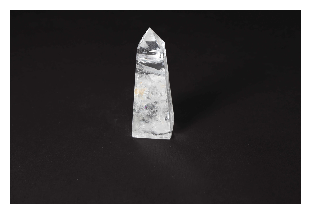 orbitvu|type:image2d