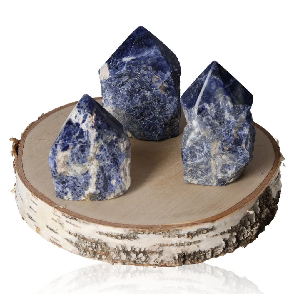 orbitvu|type:image2d