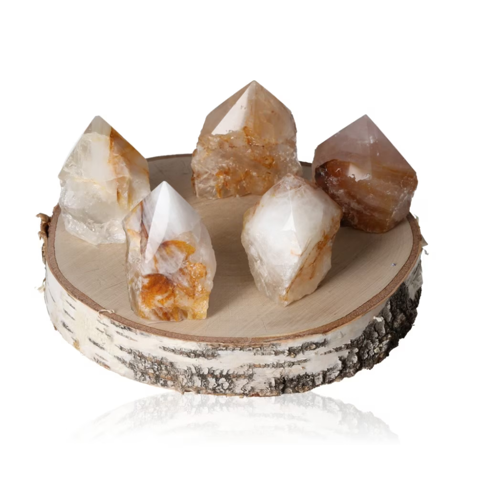 orbitvu|type:ORBITVU 360|https://orbitvu.co/share/ocC3sMHMSuNg8K5K5KNwrS/6458702/360/iframe