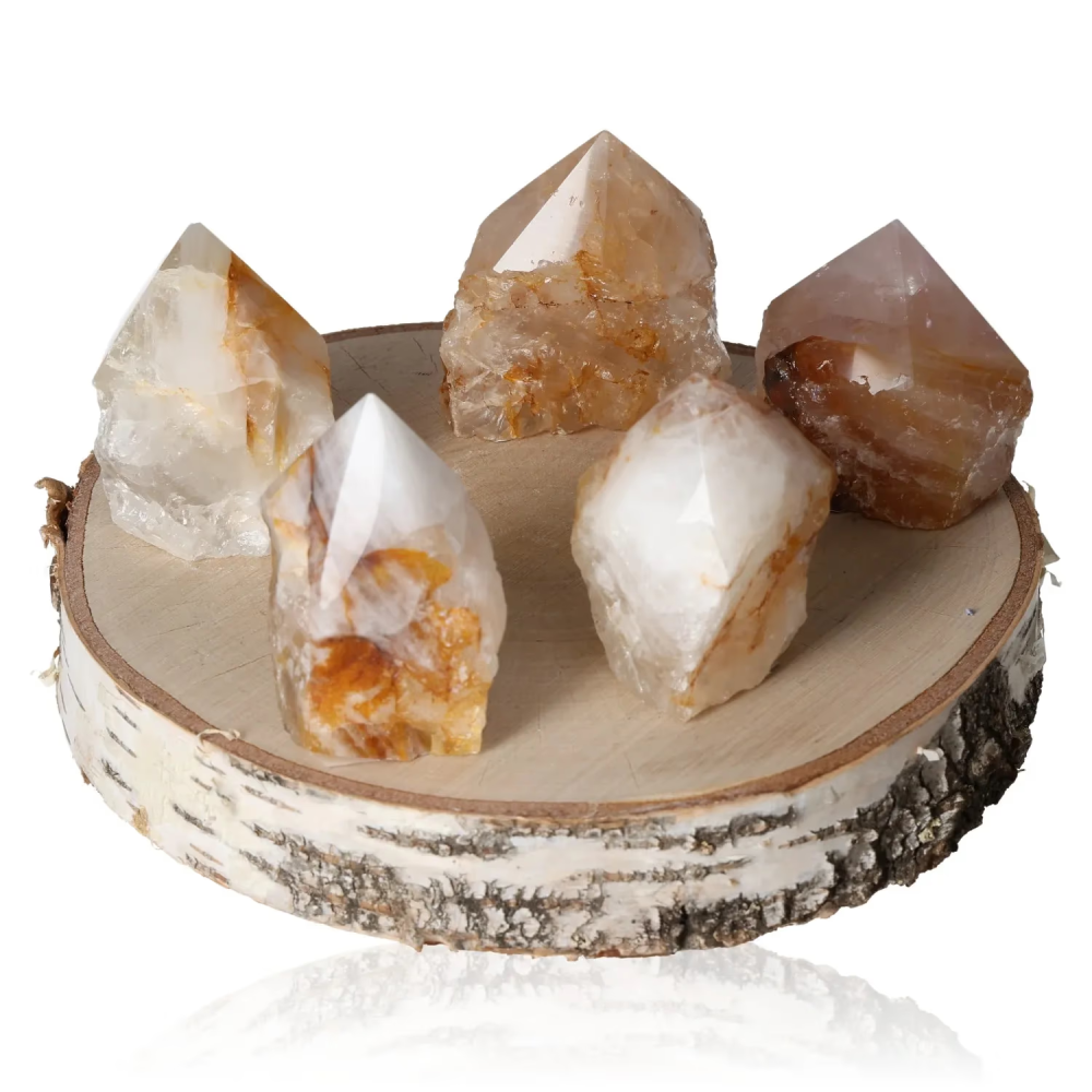 orbitvu|type:image2d