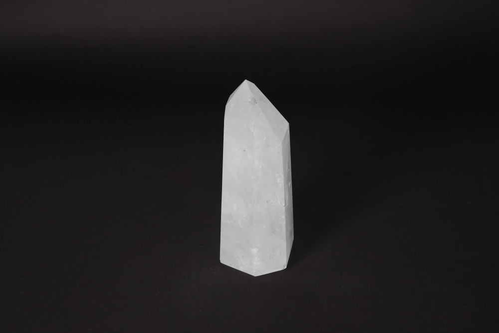 orbitvu|type:image2d