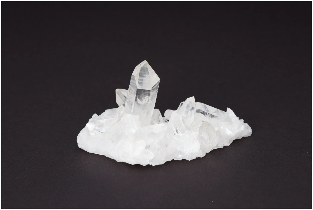 orbitvu|type:image2d