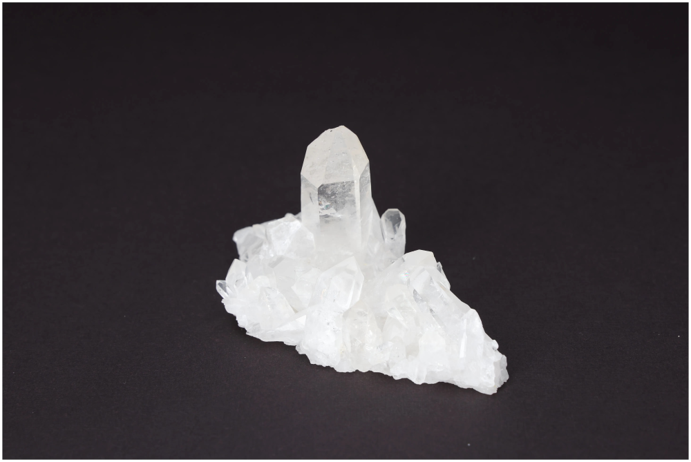 orbitvu|type:image2d