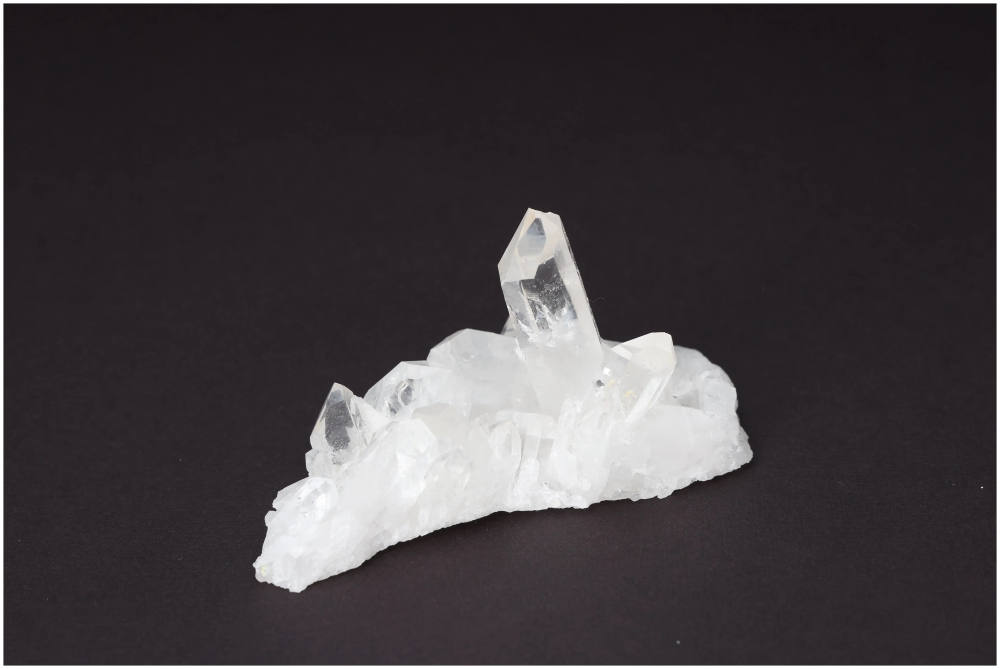 orbitvu|type:image2d