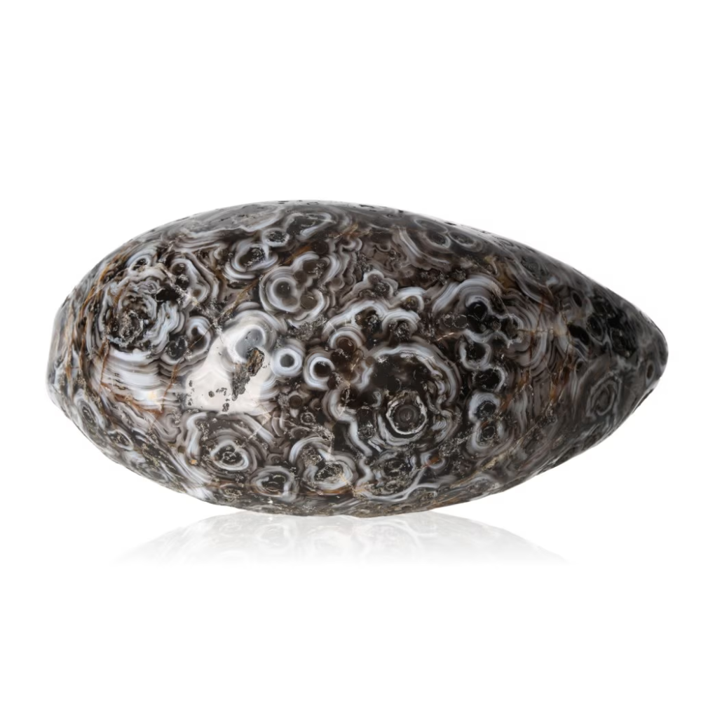 orbitvu|type:ORBITVU 360|https://orbitvu.co/share/kaUFRKzinSRgrxqggDQkjW/6461994/360/iframe