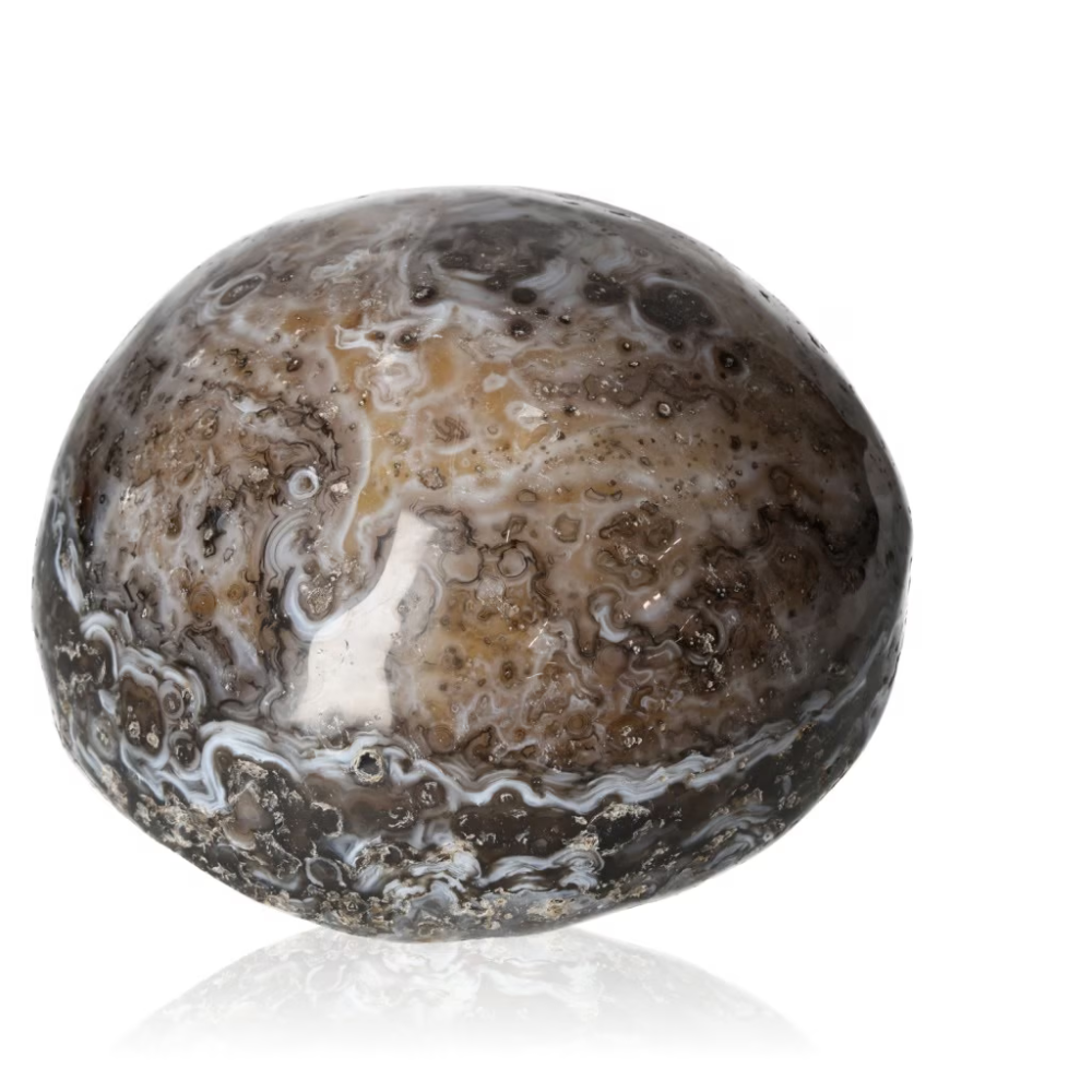 orbitvu|type:ORBITVU 360|https://orbitvu.co/share/LKQ86GBR4zNg7srwxsexG3/6461867/360/iframe