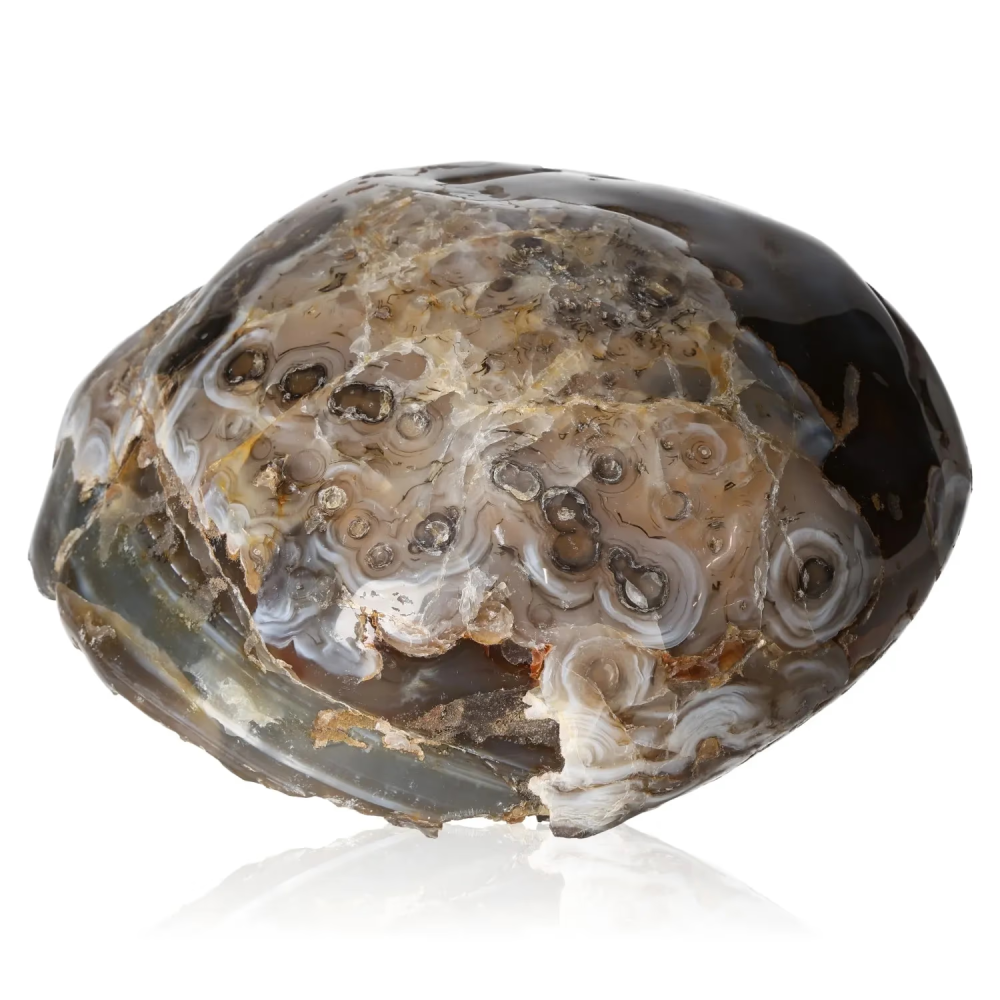 orbitvu|type:image2d