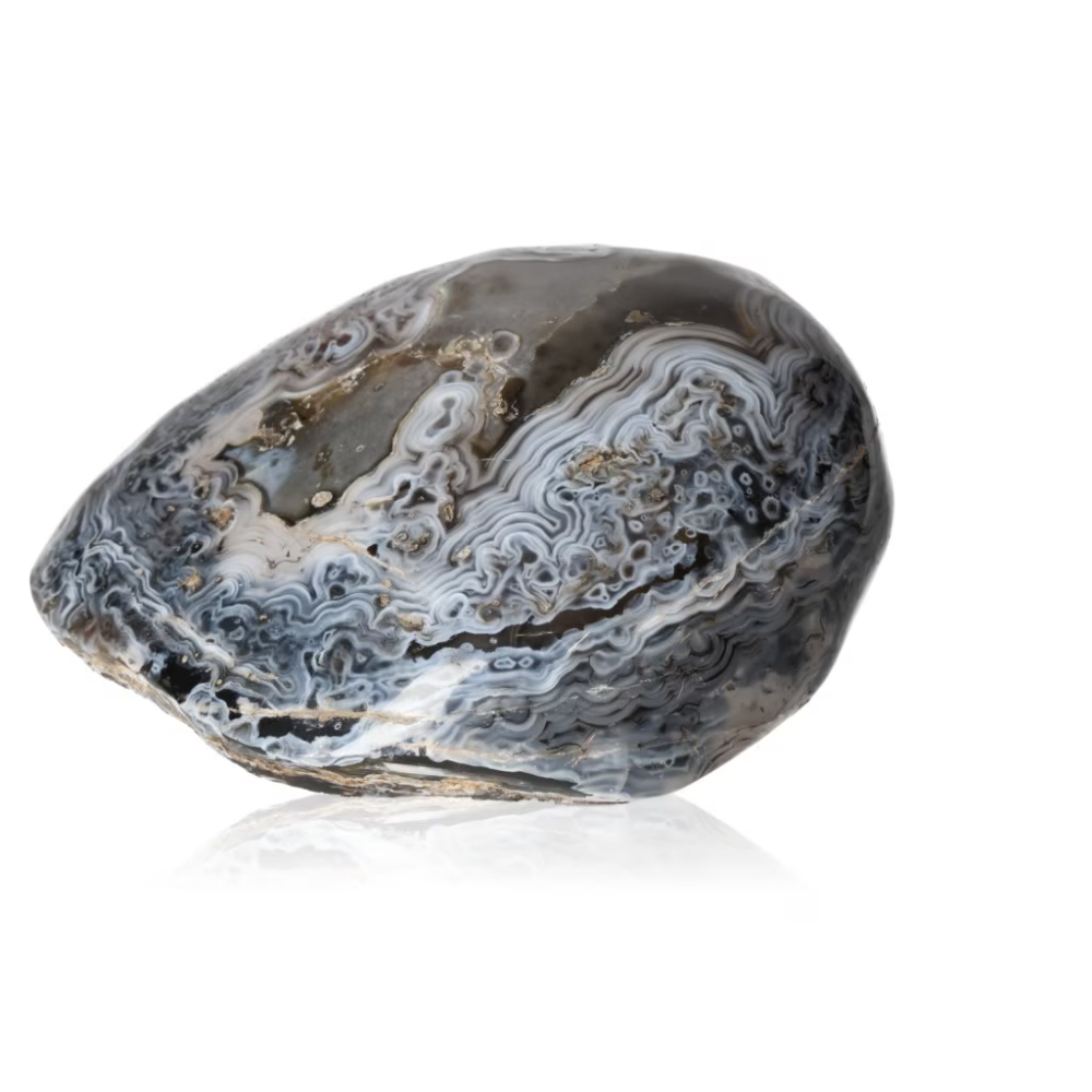 orbitvu|type:ORBITVU 360|https://orbitvu.co/share/iJxPdBS7nV3SyEZYQGDSgn/6461838/360/iframe