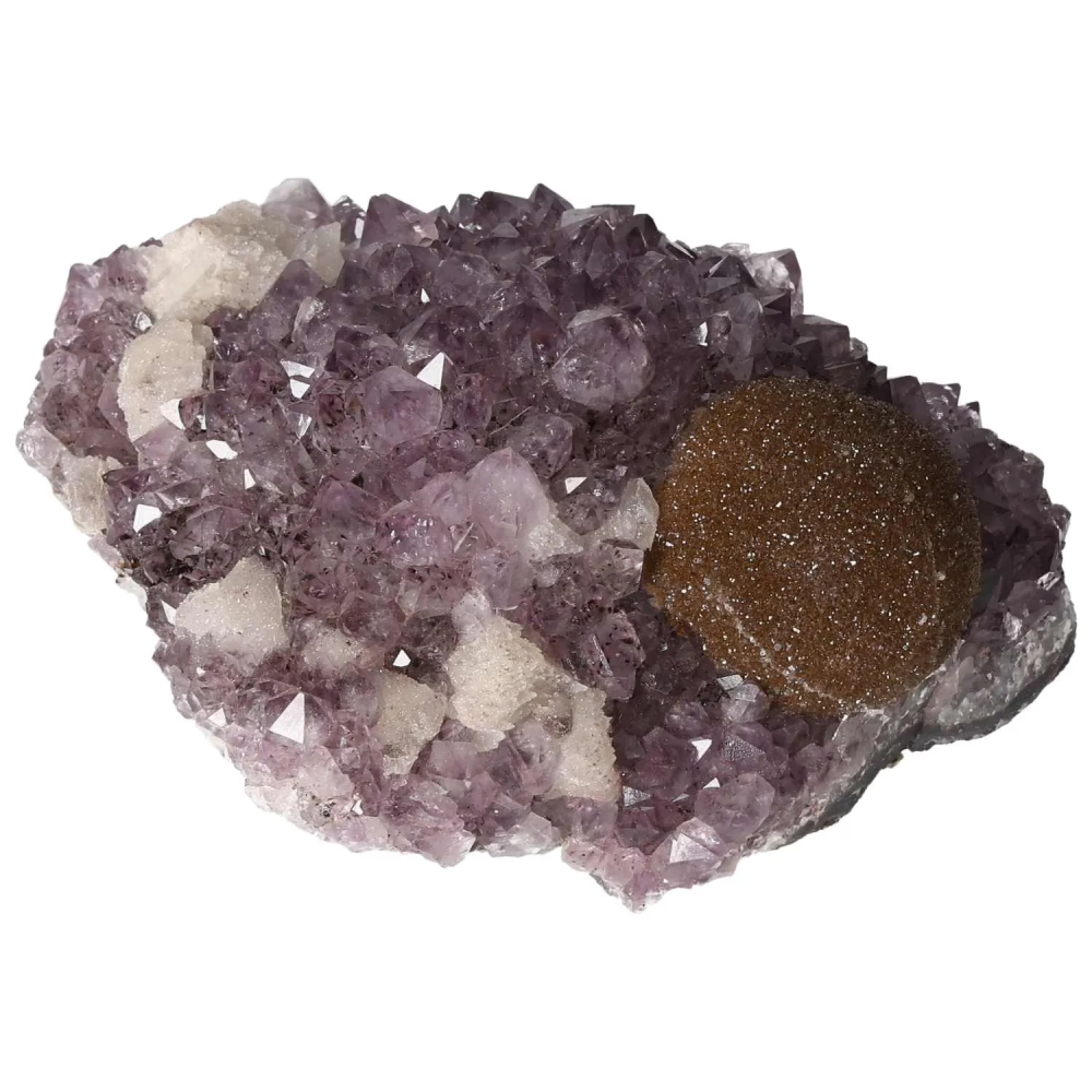 orbitvu|type:image2d