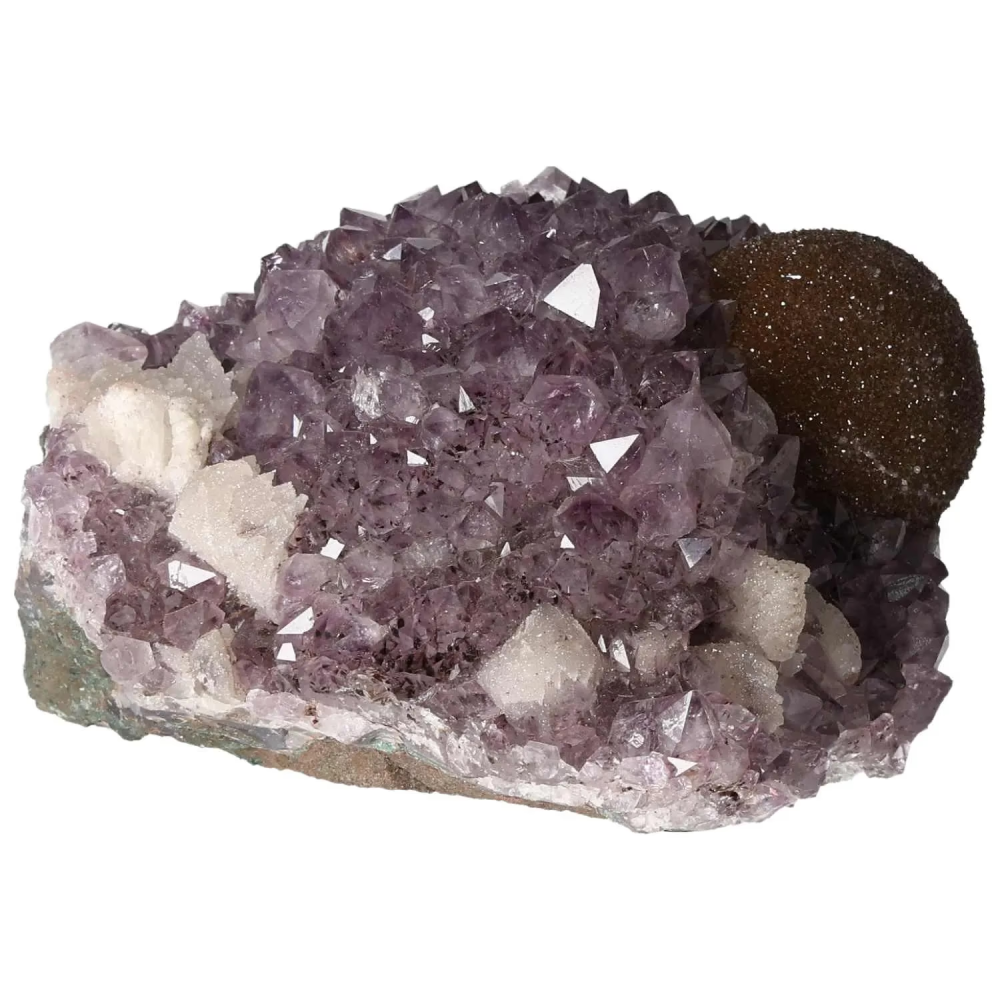 orbitvu|type:image2d