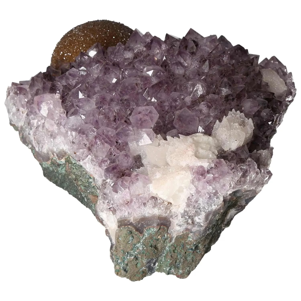 orbitvu|type:image2d