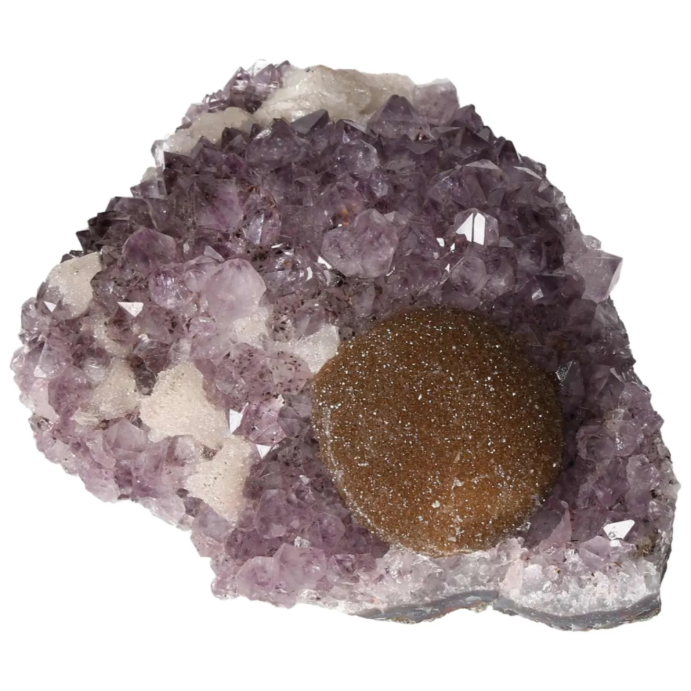 orbitvu|type:image2d