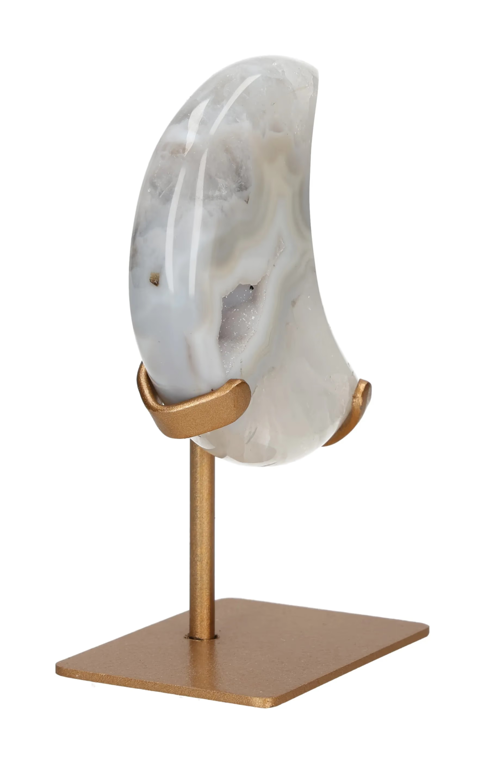 orbitvu|type:image2d