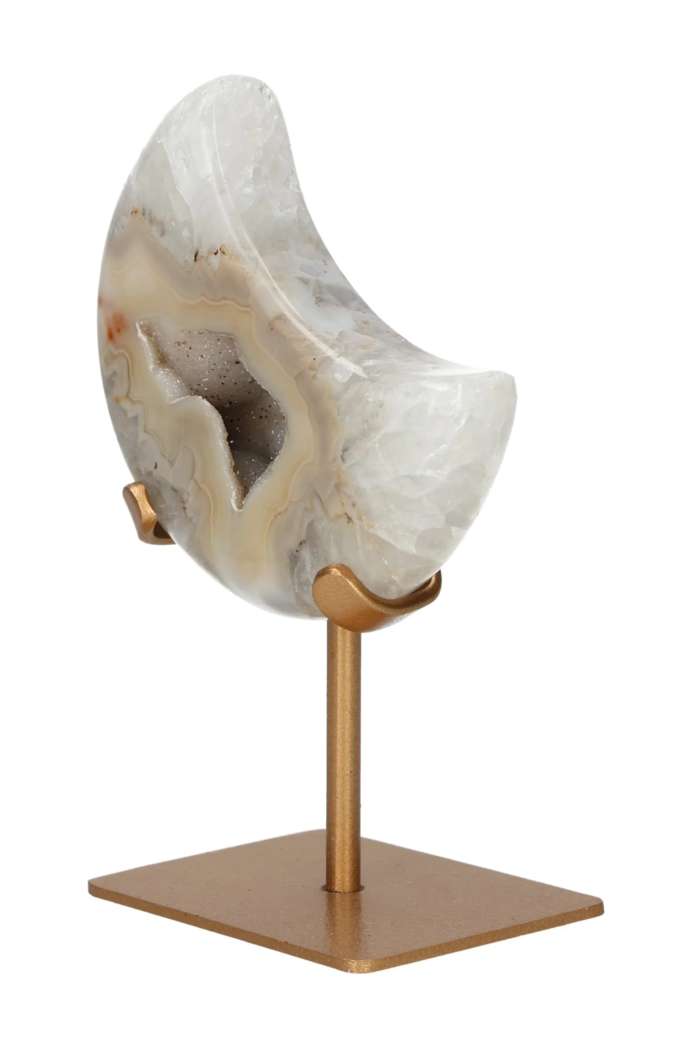 orbitvu|type:image2d