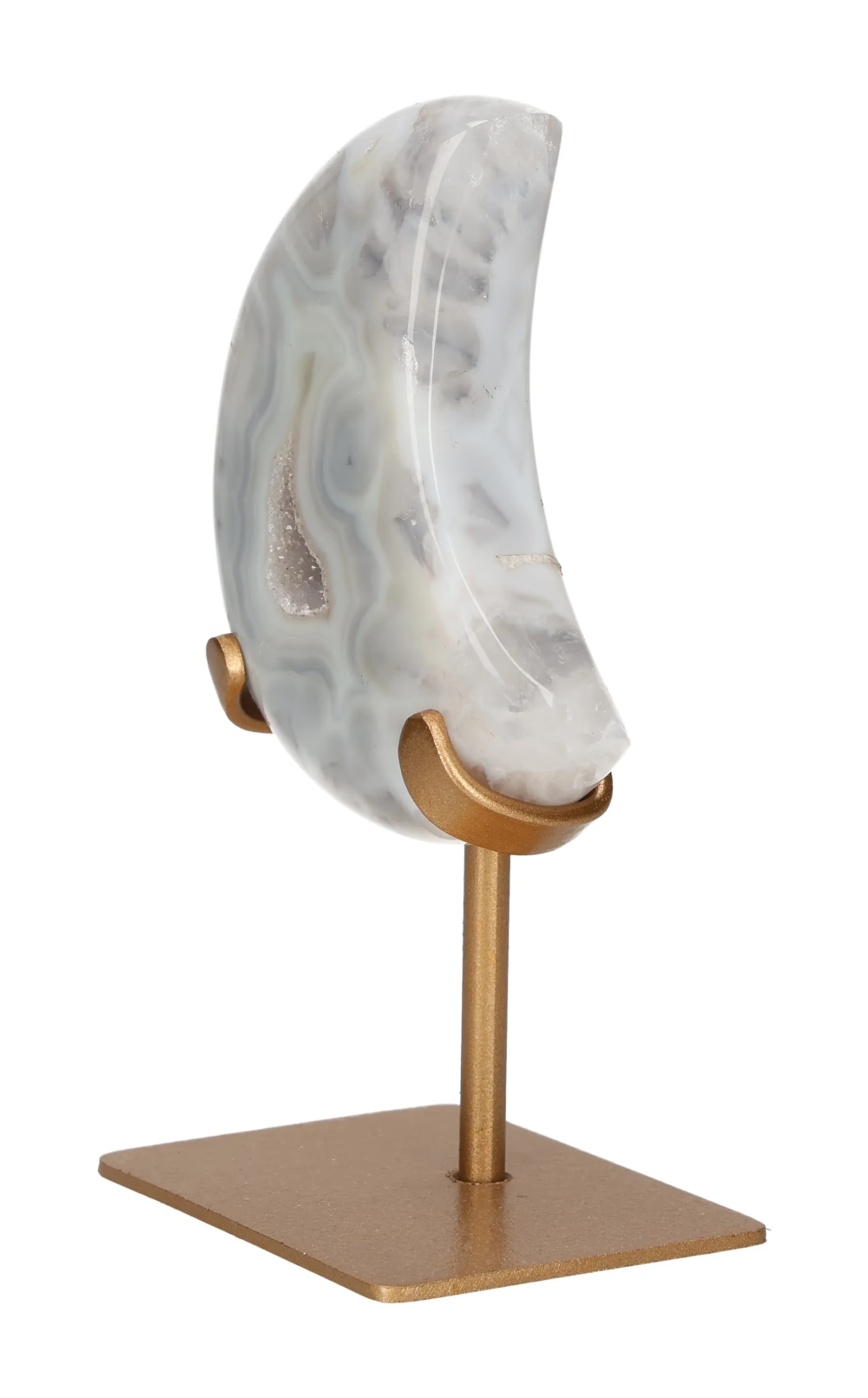 orbitvu|type:image2d