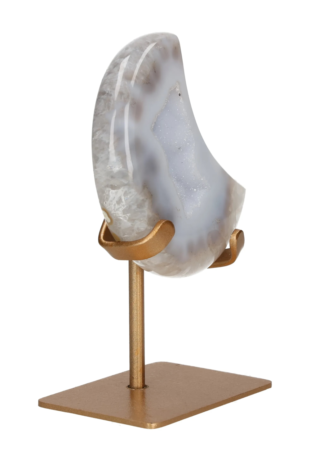 orbitvu|type:image2d