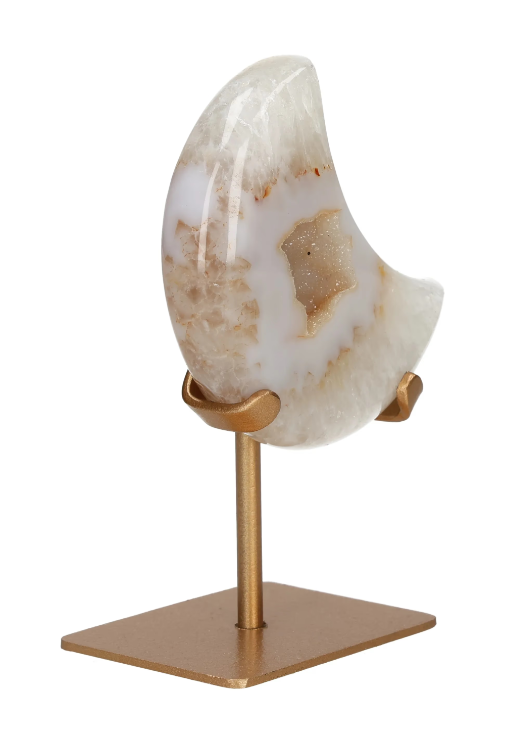 orbitvu|type:image2d