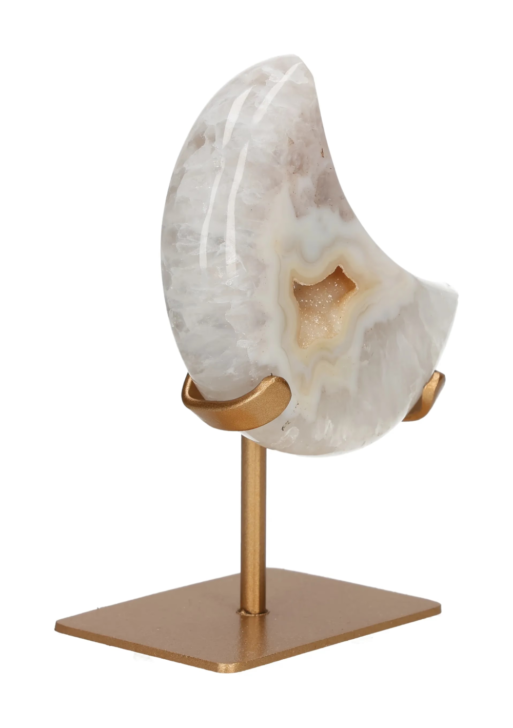 orbitvu|type:image2d