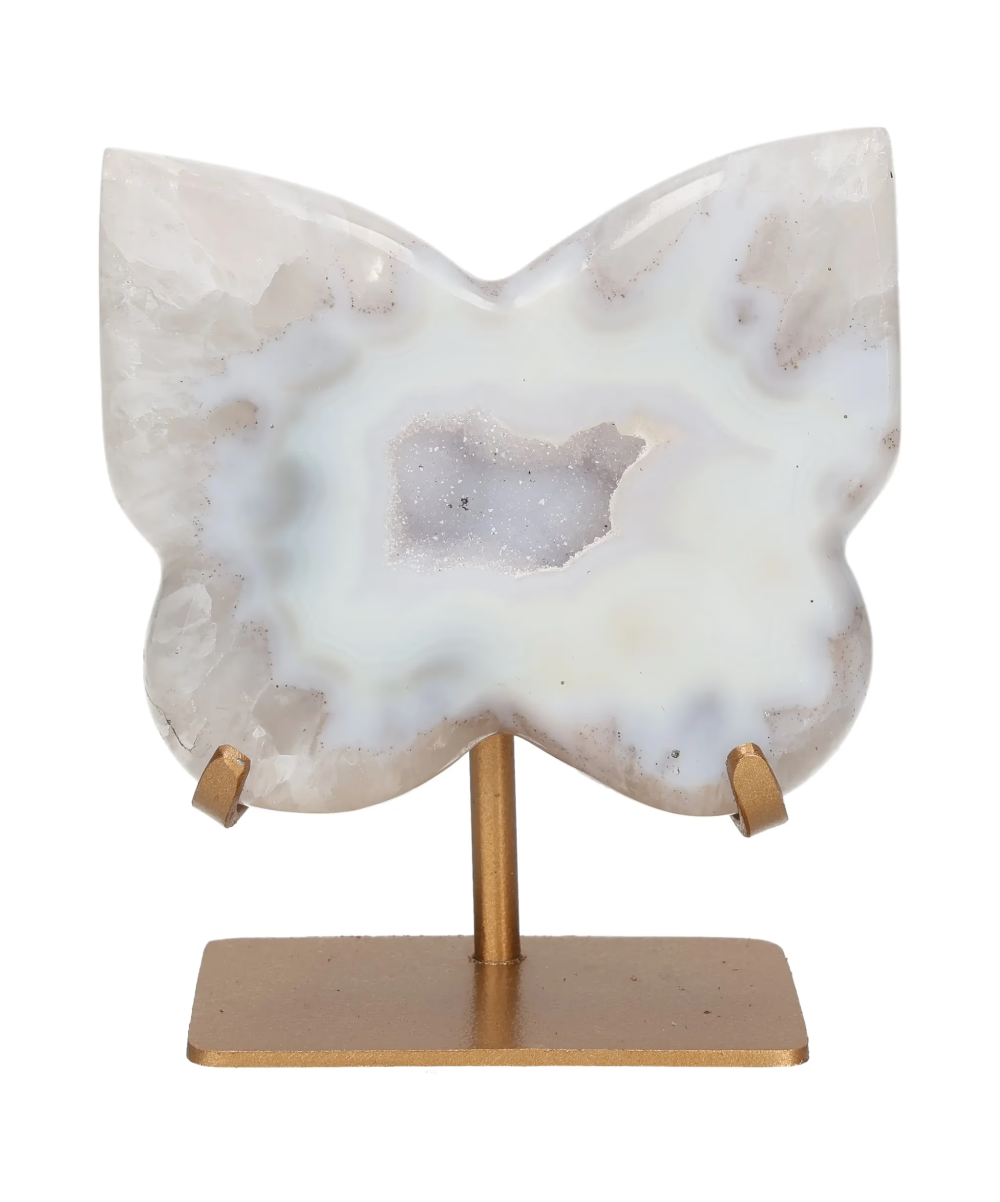 orbitvu|type:image2d