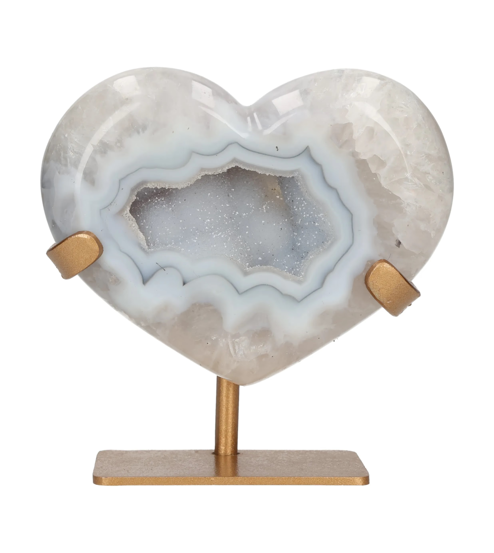 orbitvu|type:image2d