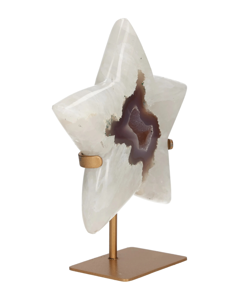 orbitvu|type:image2d