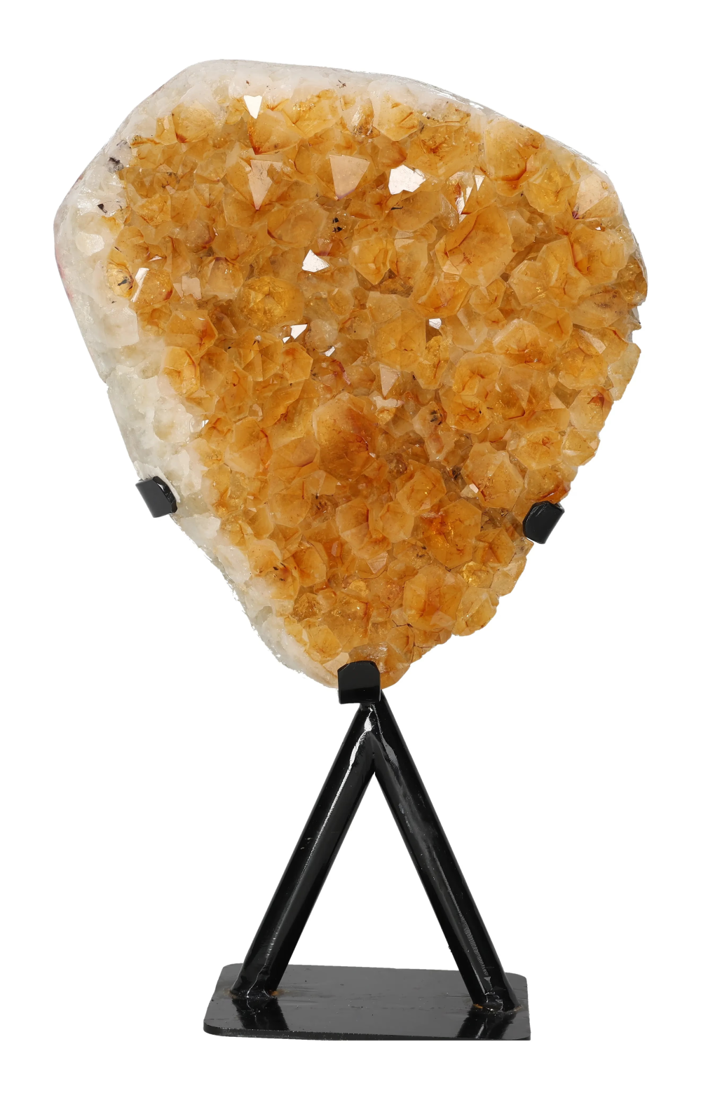 orbitvu|type:image2d