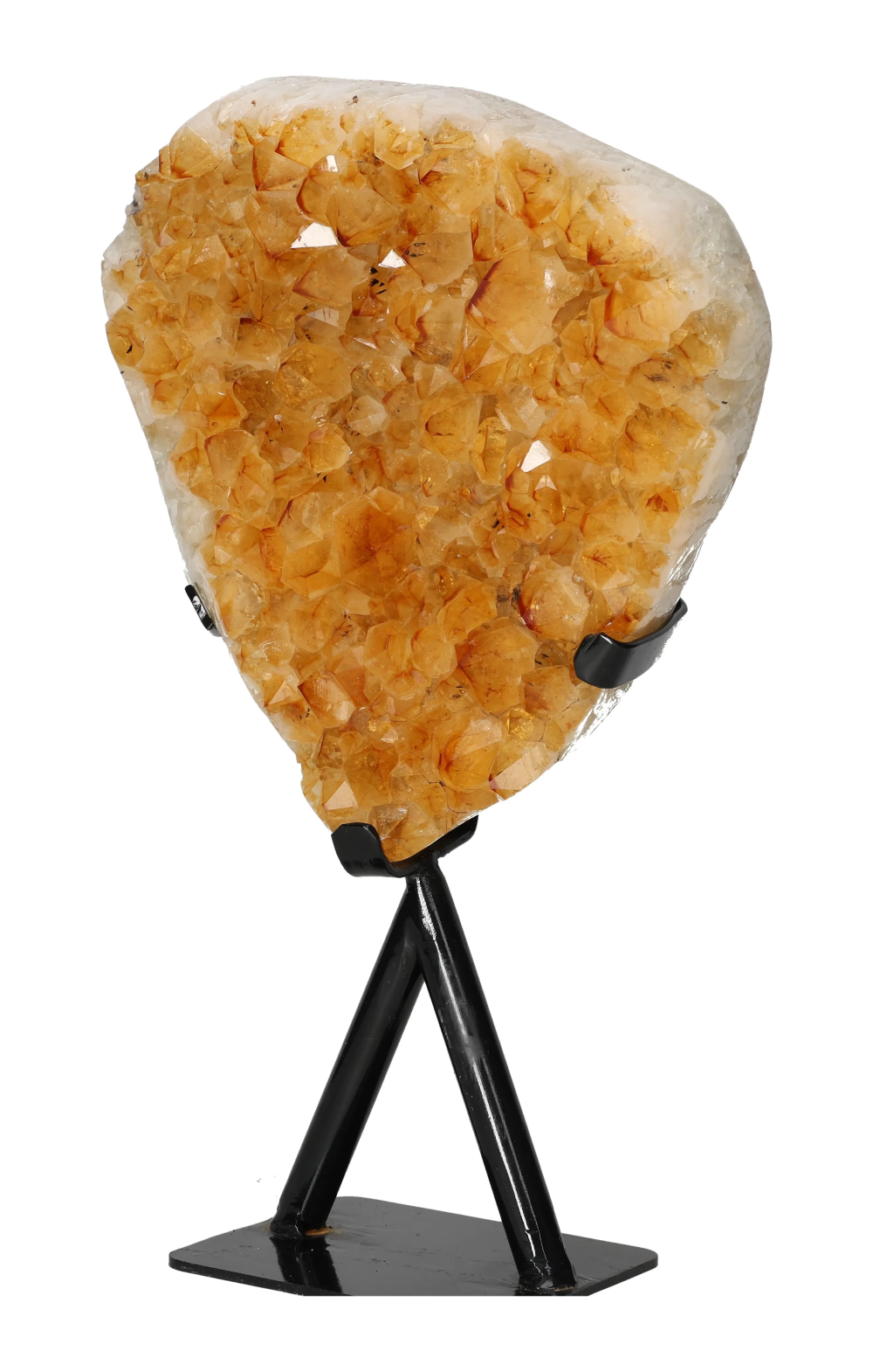 orbitvu|type:image2d