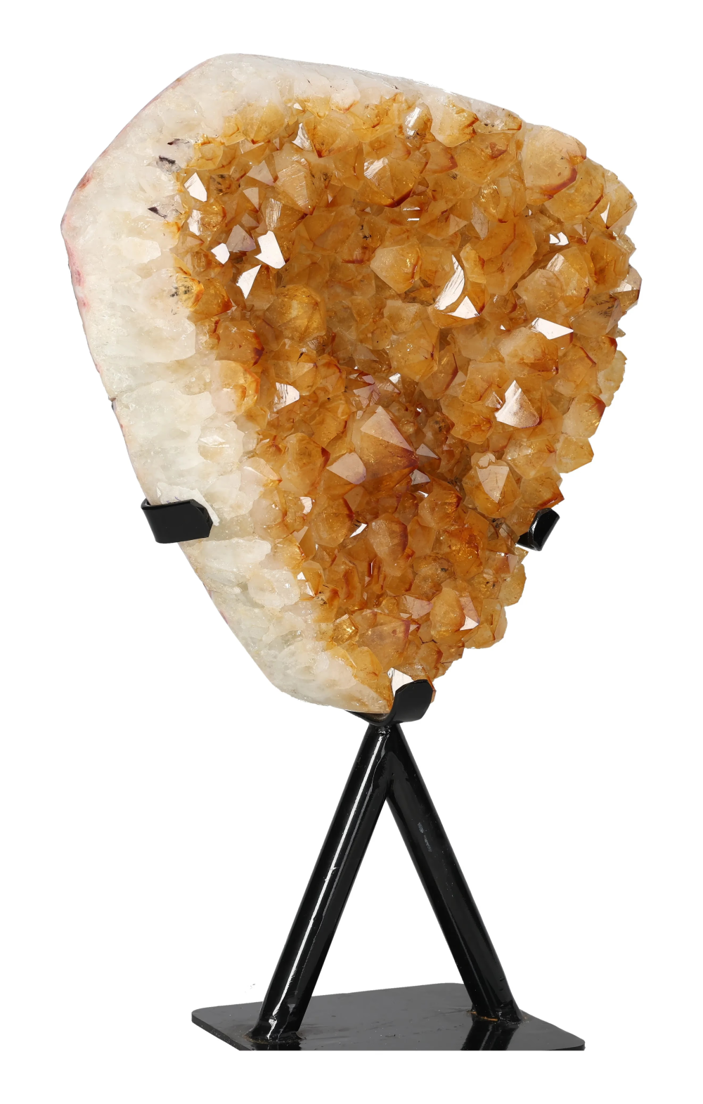 orbitvu|type:image2d