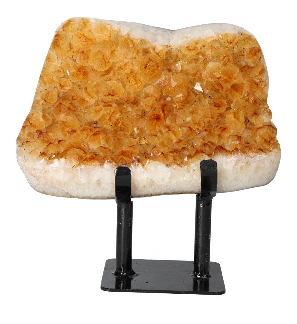 orbitvu|type:image2d