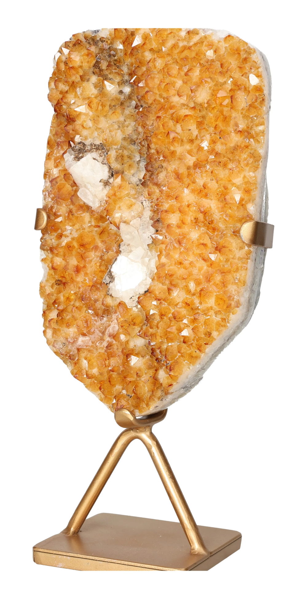 orbitvu|type:image2d