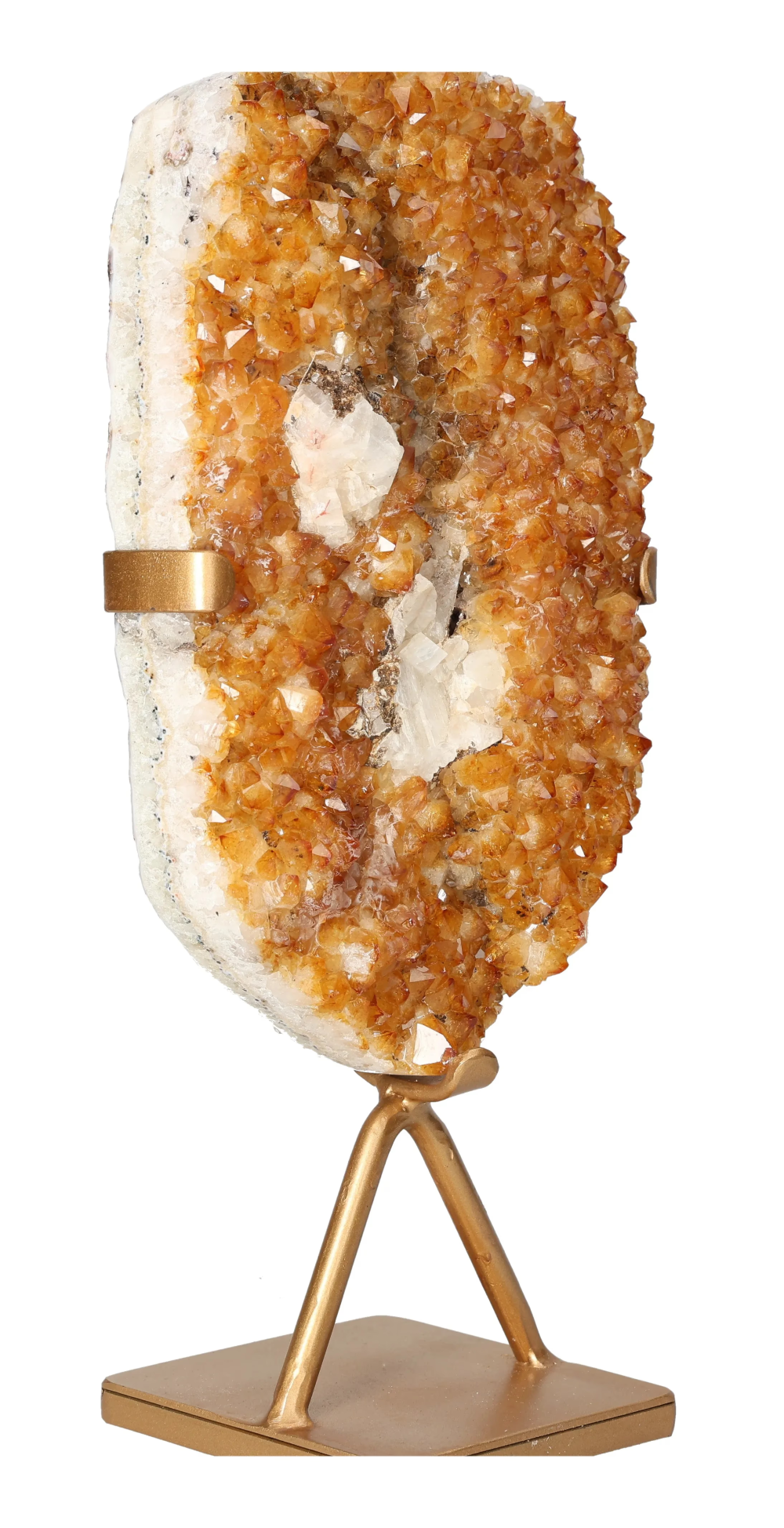 orbitvu|type:image2d