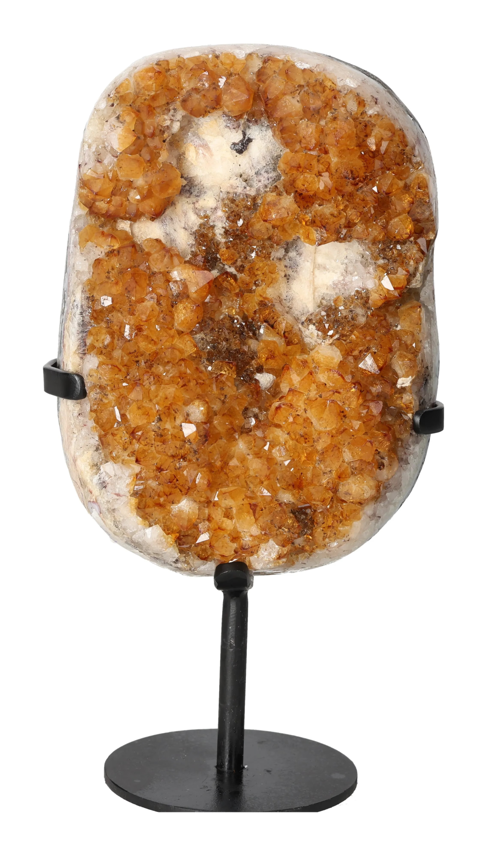 orbitvu|type:image2d