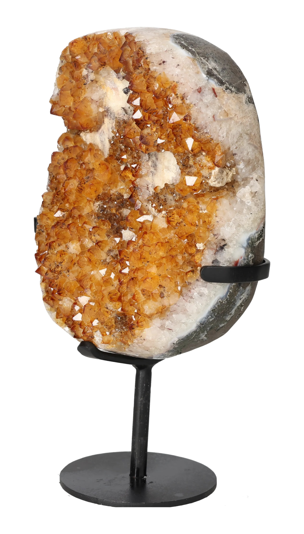 orbitvu|type:image2d