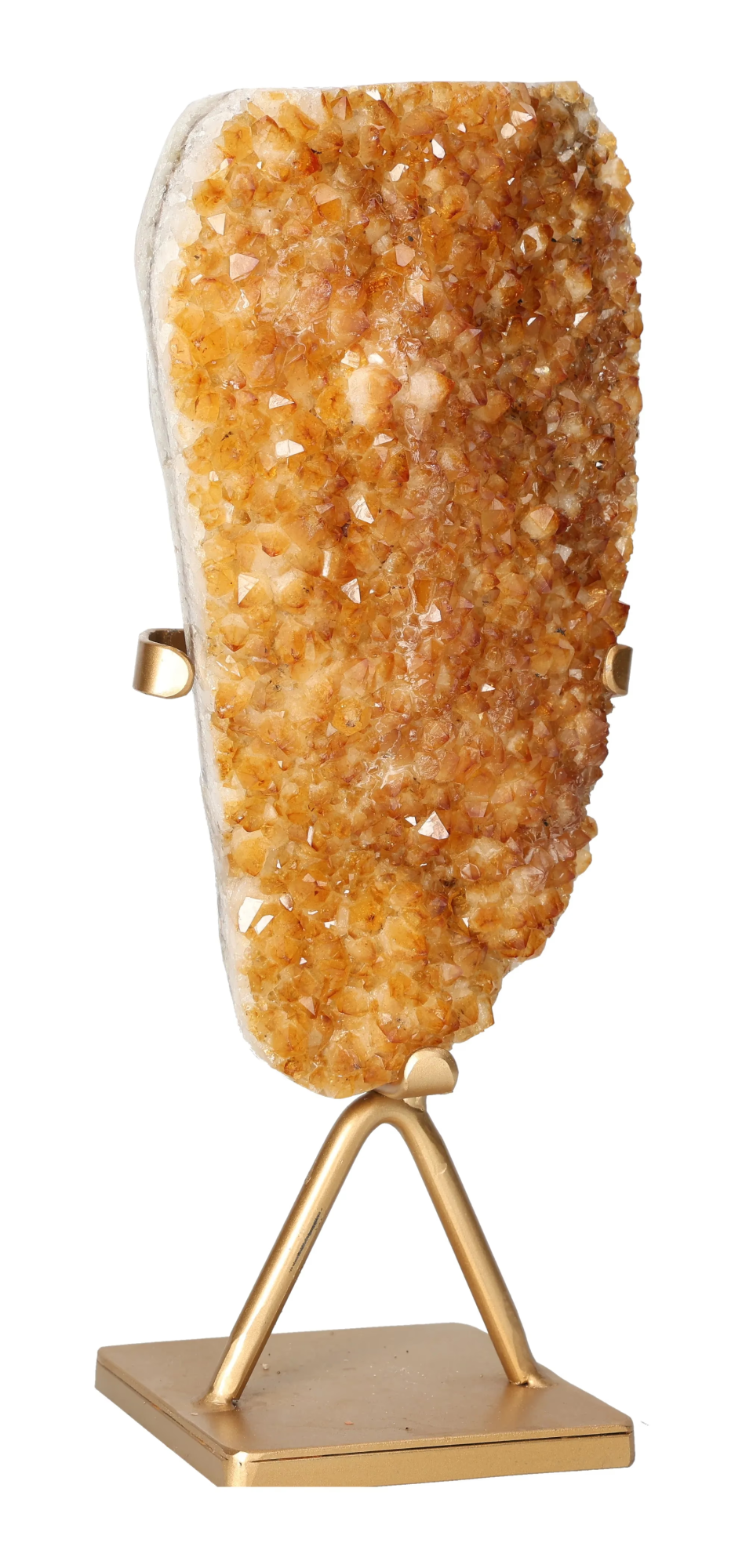 orbitvu|type:image2d