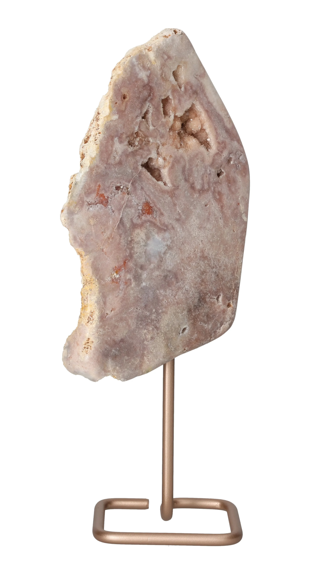 orbitvu|type:image2d