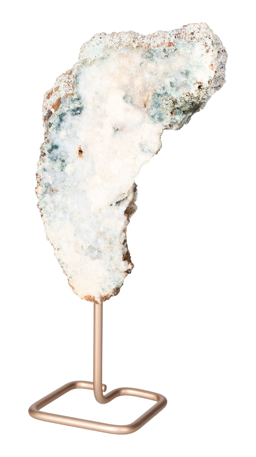 orbitvu|type:image2d