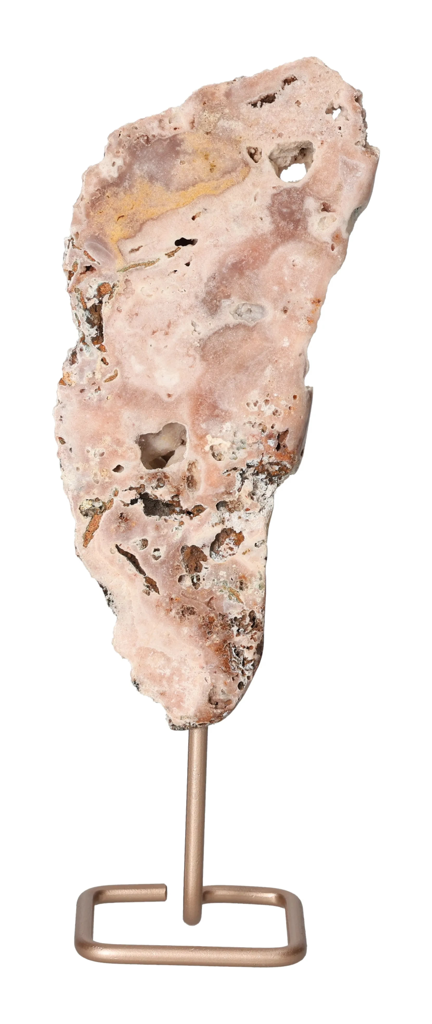 orbitvu|type:image2d