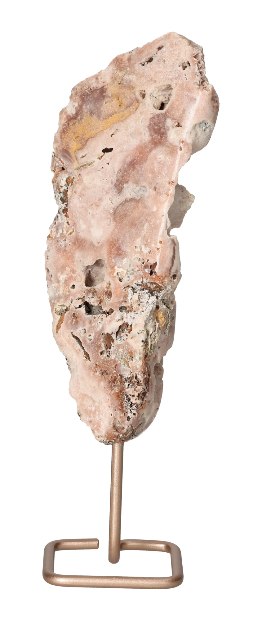 orbitvu|type:image2d