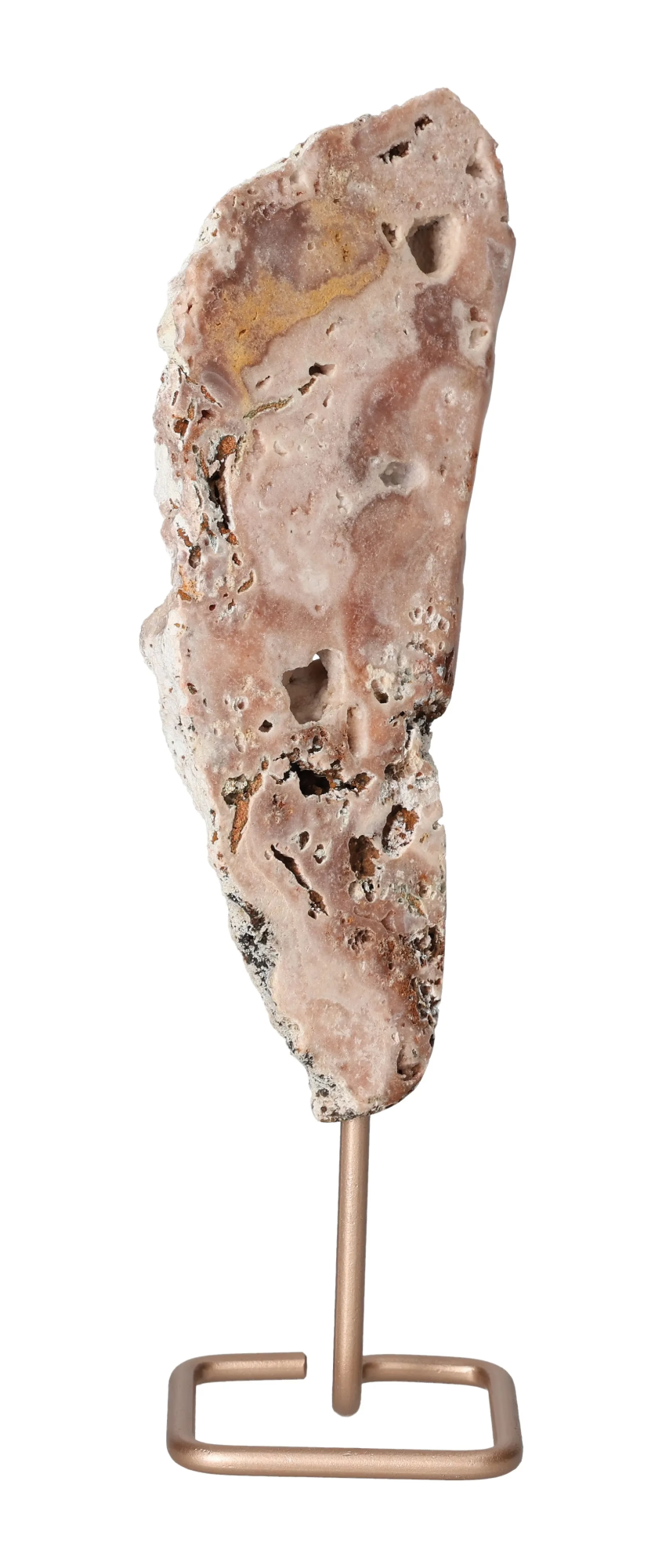 orbitvu|type:image2d