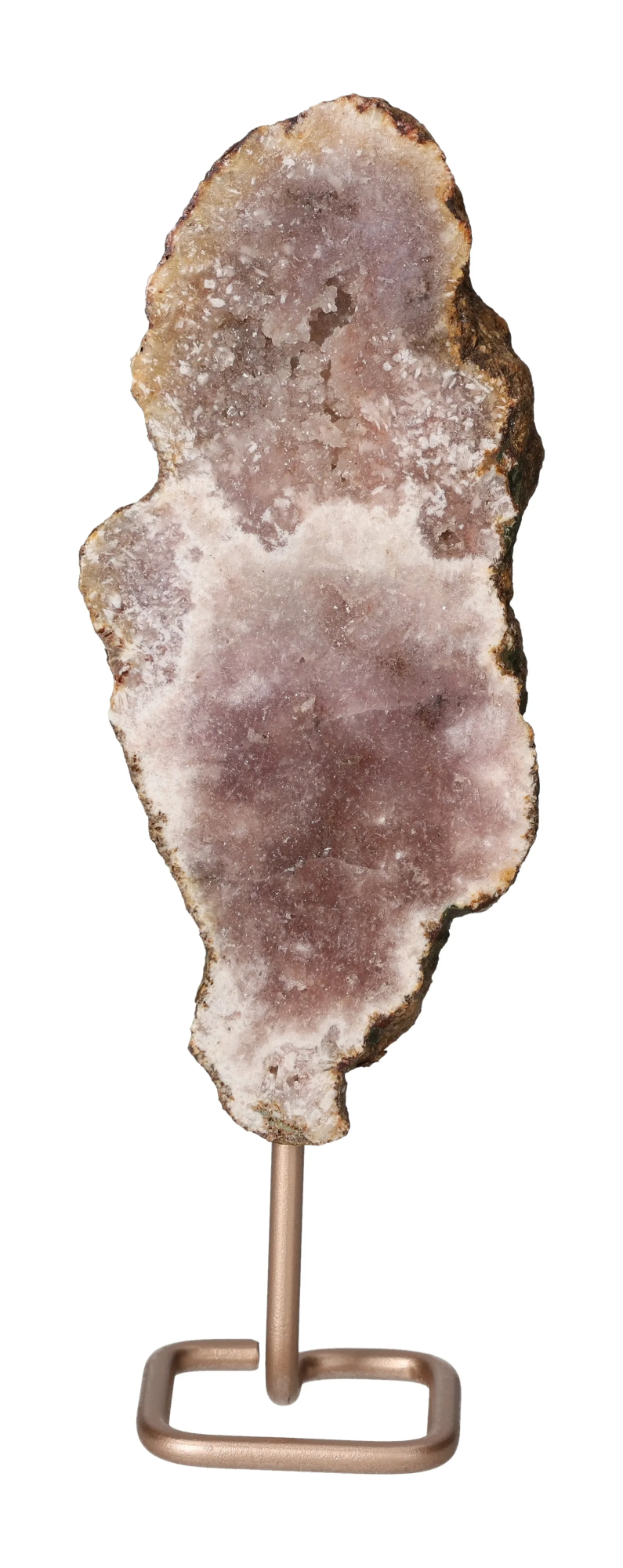 orbitvu|type:image2d