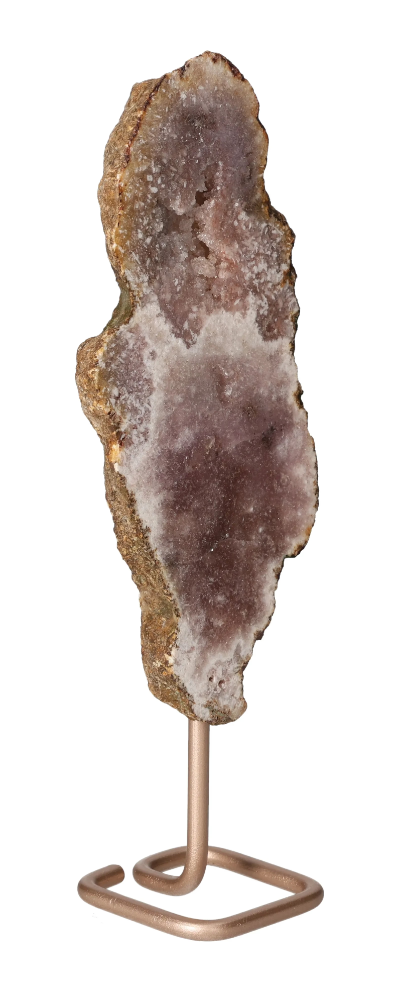 orbitvu|type:image2d