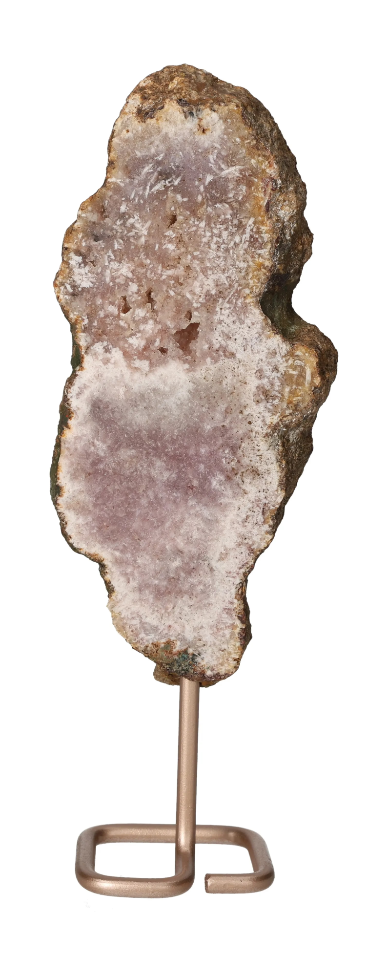 orbitvu|type:image2d