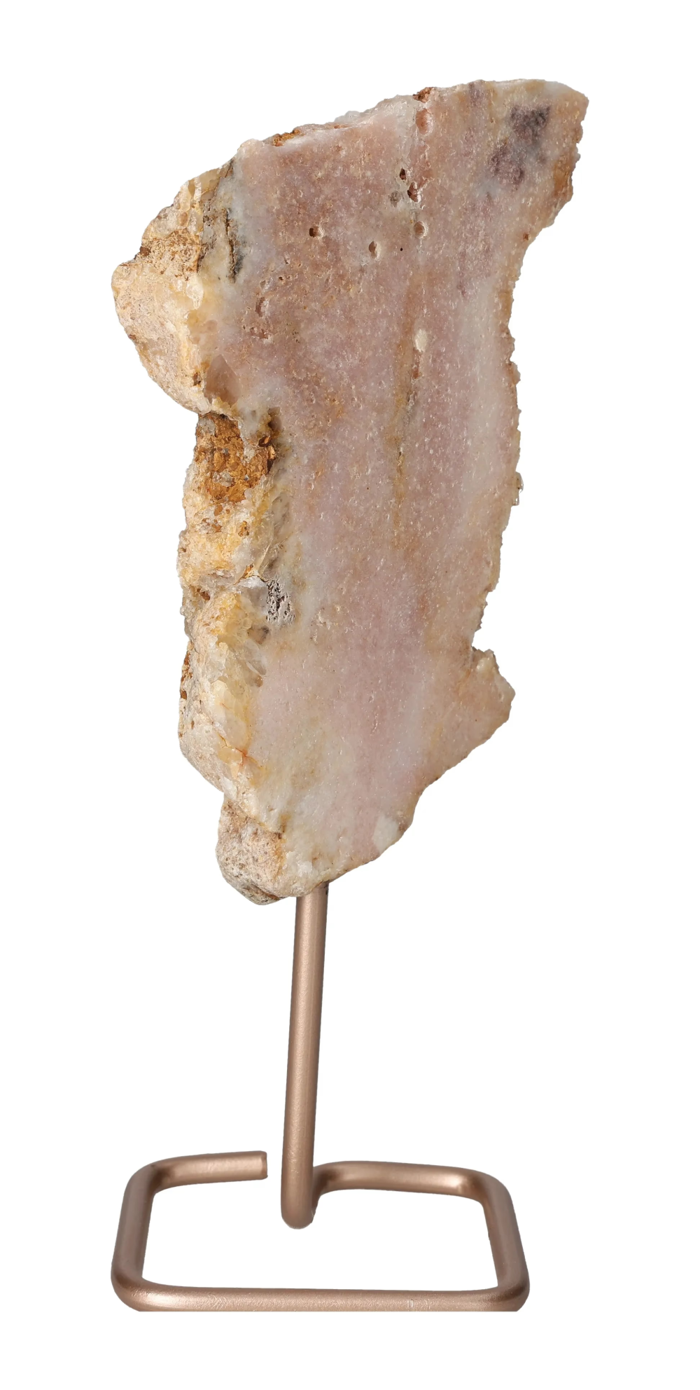 orbitvu|type:image2d