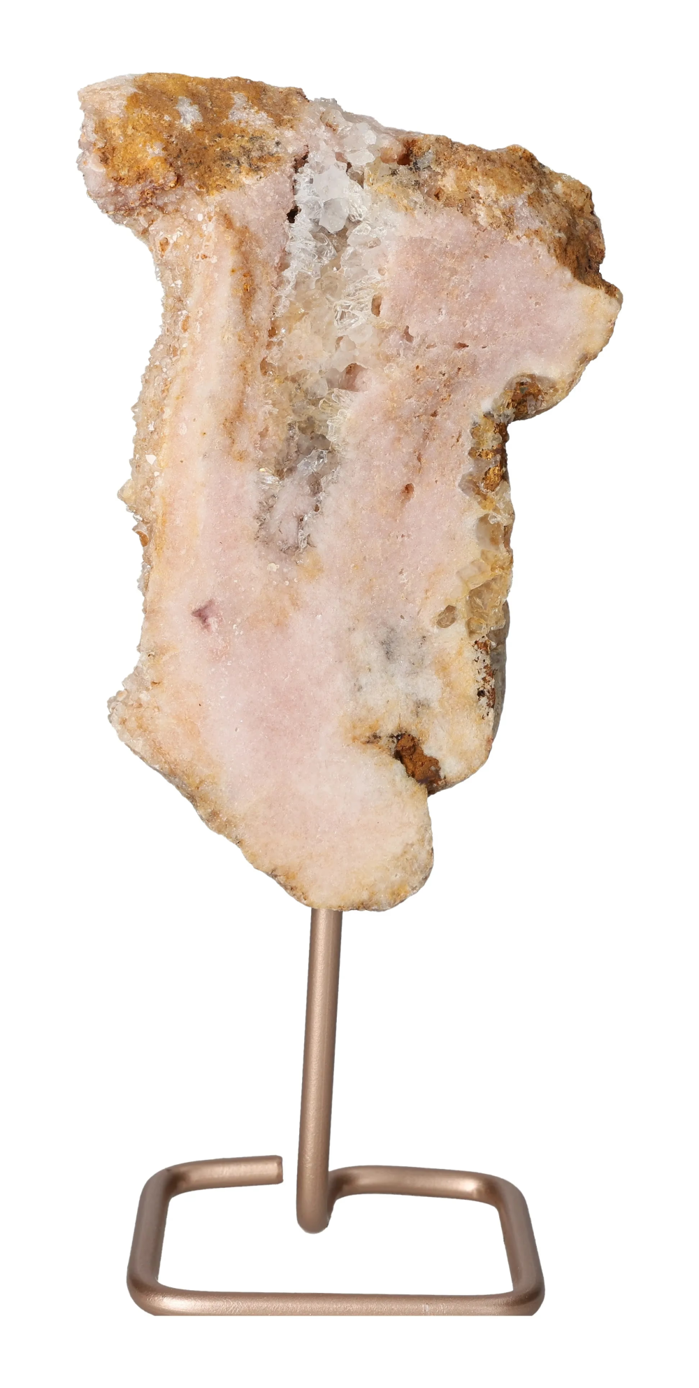 orbitvu|type:image2d