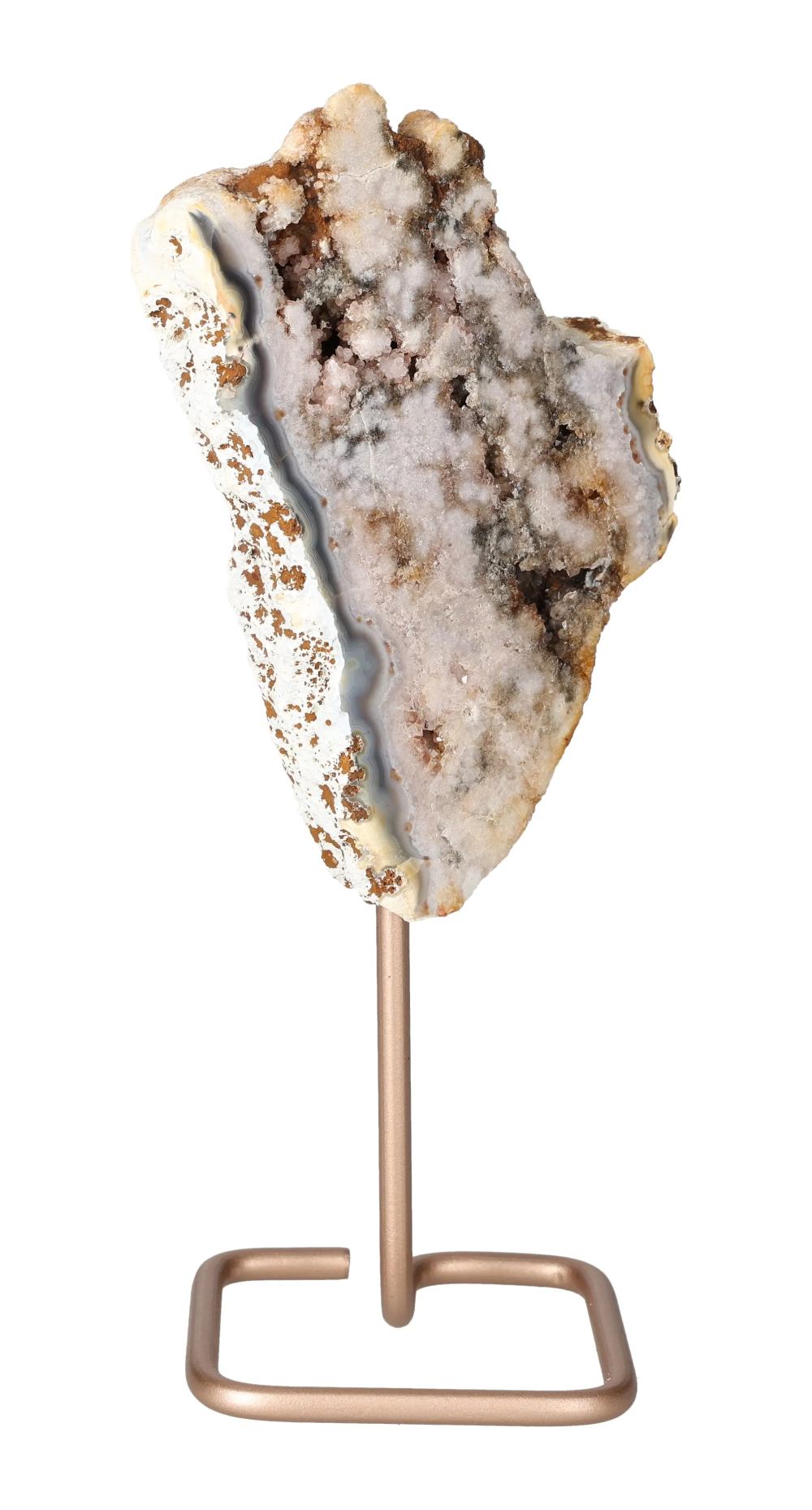 orbitvu|type:image2d